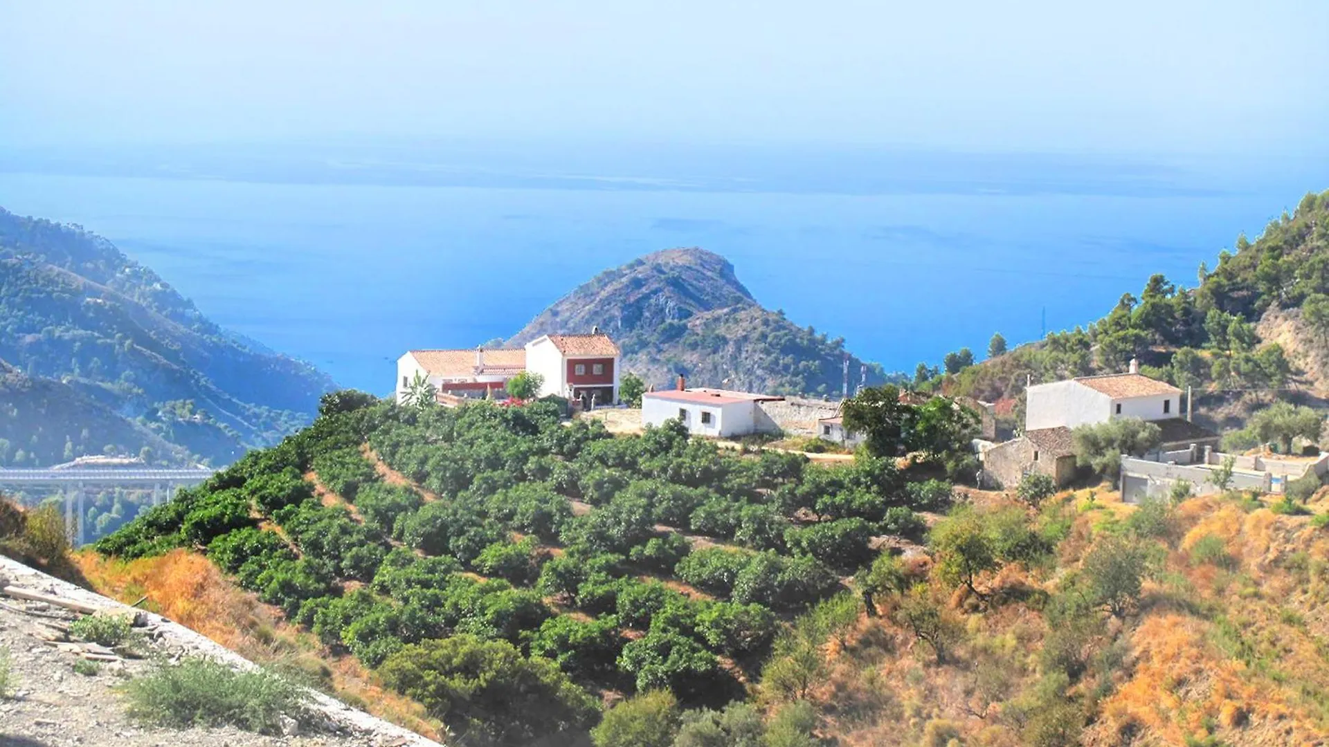 Villa Francisca Malaga 0*,  Spain