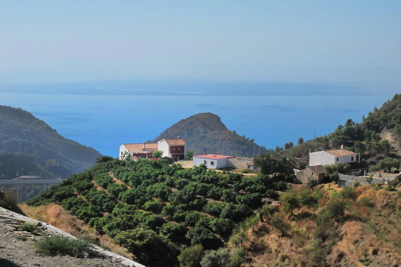 Villa Francisca Malaga 0*,  Spain